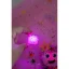 Glo Pals Princezna Ida se 2 svítícími senzorickými kostkami