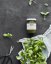 Bazalkové pesto s parmazánem