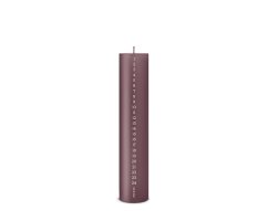 Adventní svíčka Pillar Calendar Winter Rose