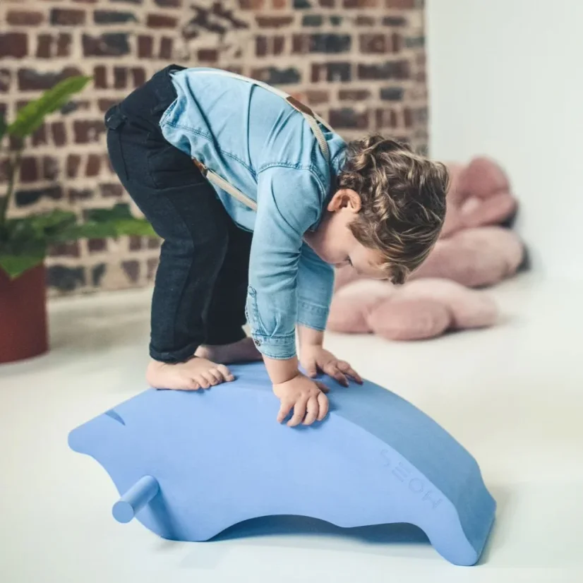 Pěnový hrací delfín Dolphin