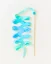 Silk Streamer Duha