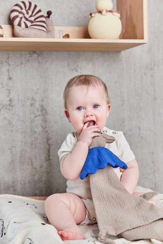 Usínáček Hunsi - pejsek